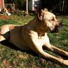 Cutty From the Cut's profile picture