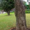 Фото профиля Green