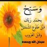 Фото профиля Saoudmohd