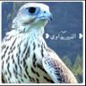 النداوي 的头像