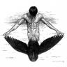 Profilbild von Ropes