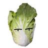 はくさい's profile picture