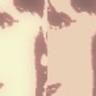 Profilbild von Nancy Ann