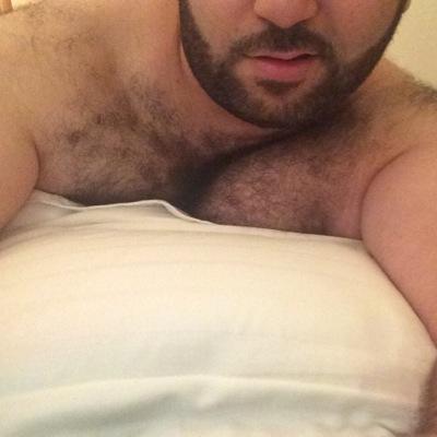 Syrian Bear Rami's profile picture