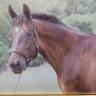 Tennyson20's profile picture
