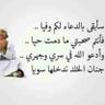 abou alyossef's profile picture