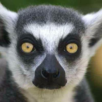 titi1960's profile picture