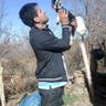 mirovvv profil fotoğrafı