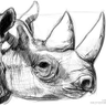 Profilbild von rudmatas