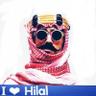 ﮼ابوعبدالله﮼الشريف 💙 的头像