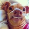 Profilbild von Thomas