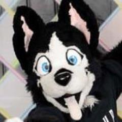 HiMyNameIsBuddy's profile picture