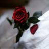 Фото профиля هدى مطر