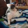 Michael's profile picture