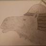 Camel Khan profil fotoğrafı