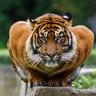 JLR's profile picture