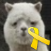 podai_浩子 的头像