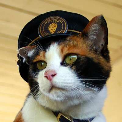 駅長たま's profile picture