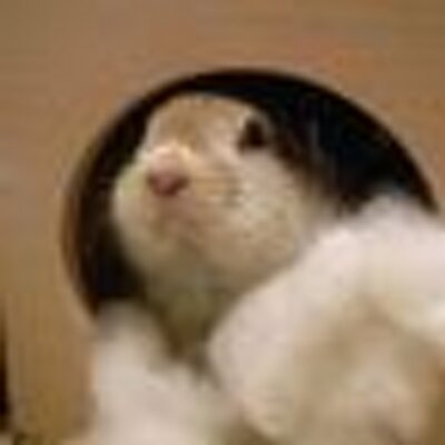 mitsu5's profile picture