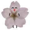 Profilbild von さくらさくこ
