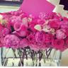 Eman alfehaid💞 ..'s profile picture