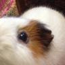 岩田 和矩 profil fotoğrafı