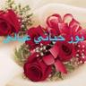 Profilbild von نور حياتي عيالي