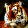 brian lofland's profile picture