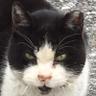 Profilbild von 単車@