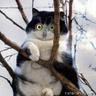 fushing so's profile picture