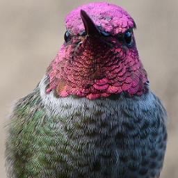 theulq's profile picture