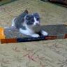 naoyuki1001 profil fotoğrafı