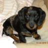 Beth #missnmaddie R profil fotoğrafı