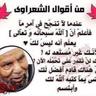 روعه الاحساس 的头像
