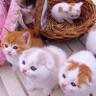 Profilbild von うっちー