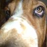 BugWug profil fotoğrafı