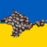 Profilbild von дарницький