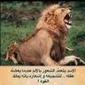 AL ZAEEM🇩🇪🇸🇦's profile picture