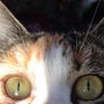 Profilbild von ミケ子