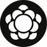 Meng Qi profil fotoğrafı
