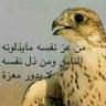 ابن ذياب السلمي's profile picture