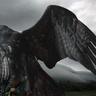 fatih1903's profile picture