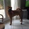 Will S. profil fotoğrafı