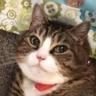 Profilbild von Scotchy