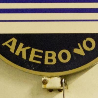 AKEBOVO's profile picture