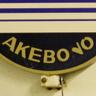ボボ・AKEBOVO 的头像