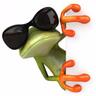 Guillaume's profile picture
