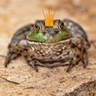 sdgphoto's profile picture