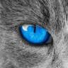 Profilbild von ®BitratE®