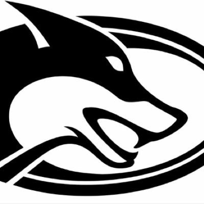HamburgHuskies's profile picture